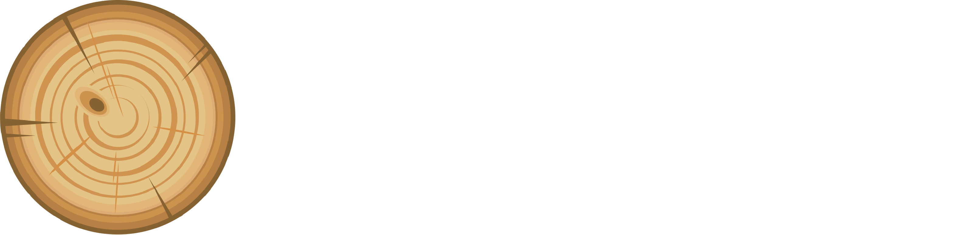 Wood Repair